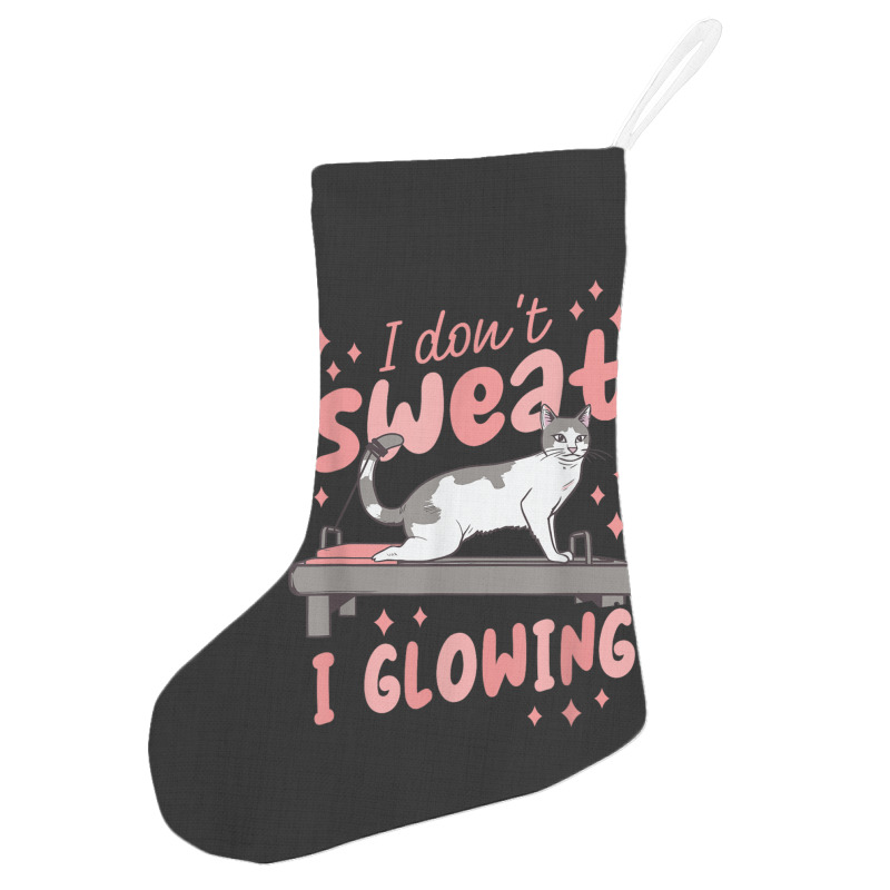 Funny Cat Lover Cute Holiday Stocking | Artistshot