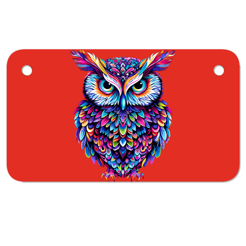 Cute Owl Motorcycle License Plate | Artistshot