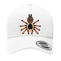 Megaphobema Robustum Colombia Giant Bird Spider Yupoong Trucker Cap | Artistshot