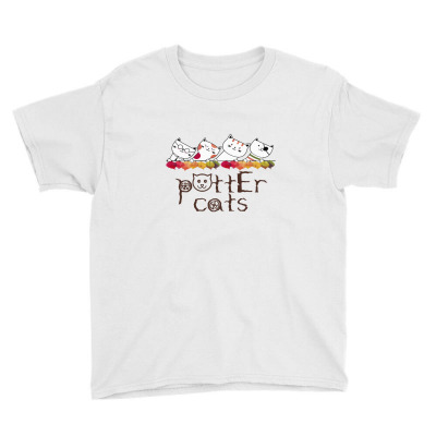 Potter Cats 2022 Youth Tee Designed By Nisawodasih
