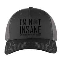 I'm Not Insane (1) Classic Trucker Hat | Artistshot