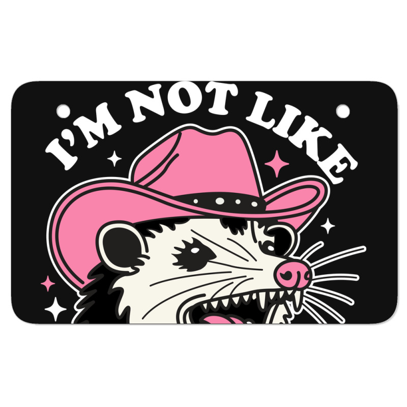 I’m Not Like Other Girls I’m Worse Atv License Plate | Artistshot