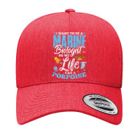 I Want To Be Marine Biologist So Life Has A Porpoise Grunge Yupoong Trucker Cap | Artistshot