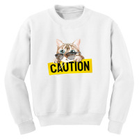 Cat Youth Sweatshirt | Artistshot