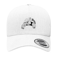 Sulcata Tortoise African Spurred Tortoise Turtle Yupoong Trucker Cap | Artistshot