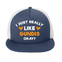 I Just Really Like Gundis Funny Comb Rats Humor Rodent Foam Snapback Hat | Artistshot