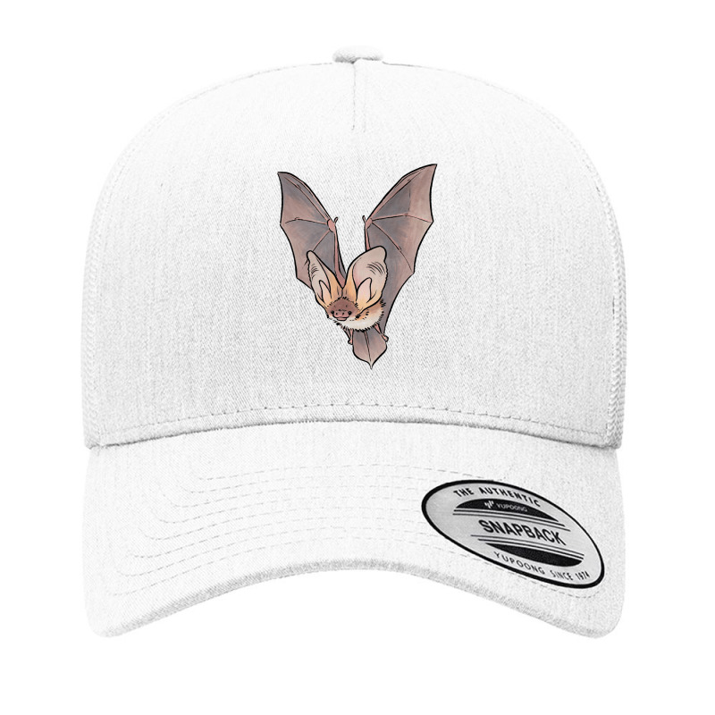 Grey Long Eared Bat Yupoong Trucker Cap by MandyMOerke | Artistshot