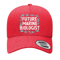 Oceanography Future Marine Biologist Yupoong Trucker Cap | Artistshot