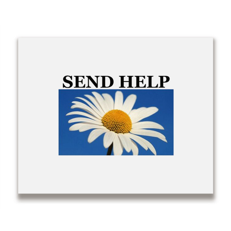 Send Help Metal Print Horizontal | Artistshot