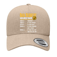 Data Scientist Hourly Rate   Funny Data Analytics Yupoong Trucker Cap | Artistshot