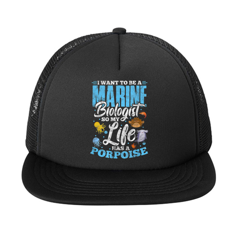 I Want To Be Marine Biologist So Life Has A Porpoise Grunge Foam Snapback Hat | Artistshot