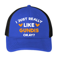 I Just Really Like Gundis Funny Comb Rats Humor Rodent Pa Trucker Cap | Artistshot