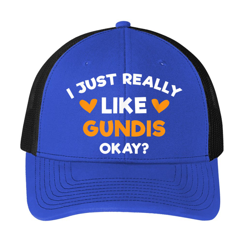 I Just Really Like Gundis Funny Comb Rats Humor Rodent Pa Trucker Cap by August | Artistshot