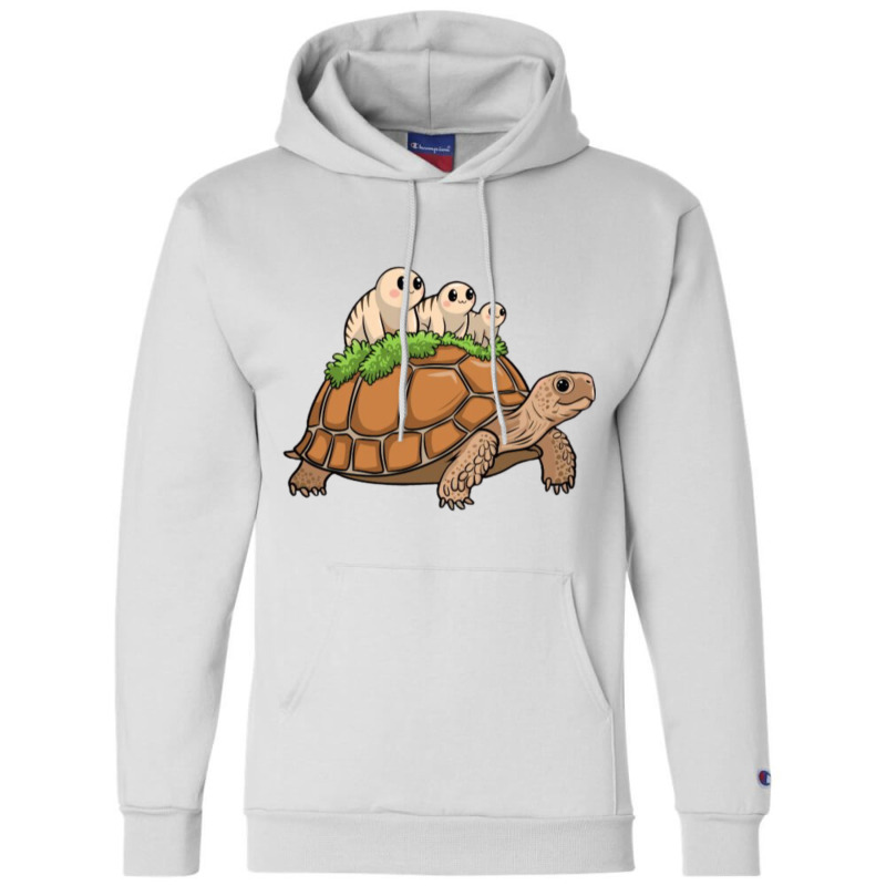 Tortoise Carrying Tardigrade Family On Flexfit Fit Champion Hoodie | Artistshot