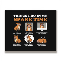 Capybara Lover Things I Do In My Spare Time Metal Print Horizontal | Artistshot