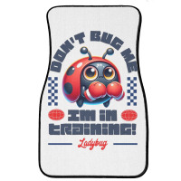 Funny Ladybug Training Quote Front Car Mat | Artistshot