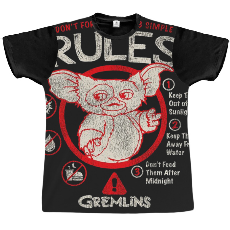 The 3 Simple Rules Graphic T-shirt | Artistshot