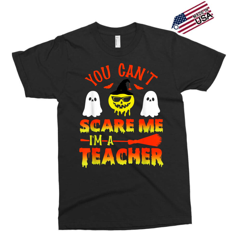 You Can't Scare Me I'm A Teacher Exclusive T-shirt | Artistshot