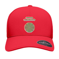 Animal Collective Psychedelic Seamless Cap | Artistshot