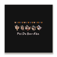 Pas De Boo RÉe Animal Ballet Troupe Metal Print Square | Artistshot