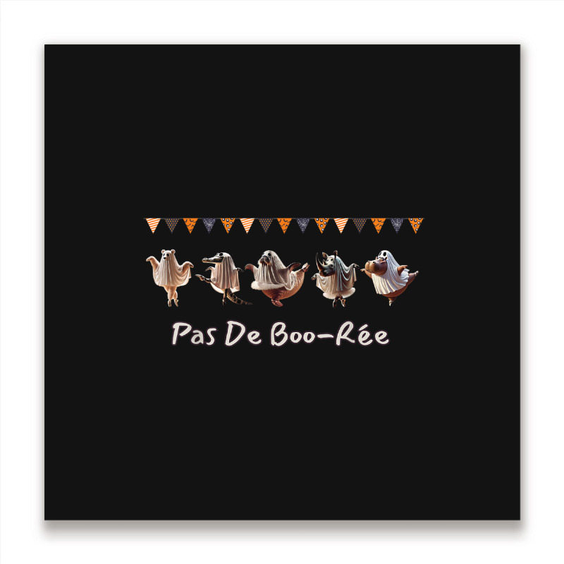 Pas De Boo RÉe Animal Ballet Troupe Metal Print Square | Artistshot