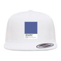 Jeff Buckley Lover You Should Have Come Over Lyrics Pantone 5 Panel Snapback Cap | Artistshot