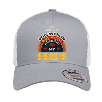 The World Revolves Around My Exotic Shorthair Cat Funny T Shirt Retro Trucker Cap | Artistshot