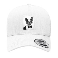 Boston Terrier Bowtie Yupoong Trucker Cap | Artistshot