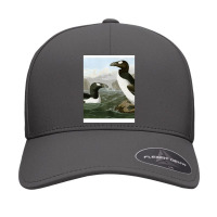 Seabirds - John James Audubon Seamless Cap | Artistshot