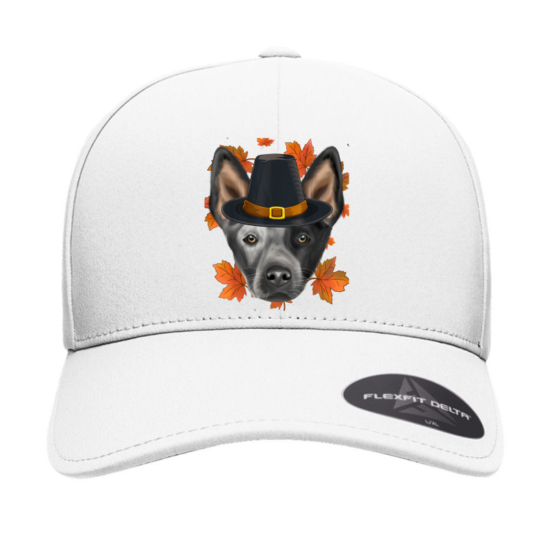 Fall Australian Cattle Dog Pilgrim Thanksgiving Seamless Cap by Outpost | Artistshot