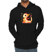 Funny Dragon Lightweight Hoodie | Artistshot