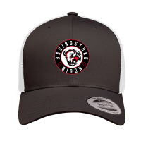 Basingstoke Bison Ice Hockey Retro Trucker Cap | Artistshot