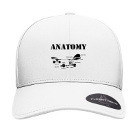 Anatomy Of Skateboard Seamless Cap | Artistshot