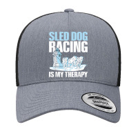 Sled Dog Racing Is My Therapy Quote For A Sled Dog Racer T Shirt Yupoong Trucker Cap | Artistshot