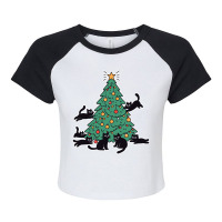 Playful Black Cats Raglan Crop Top | Artistshot