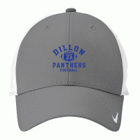 Dillon 33 Panthers Football Nike Dri-fit Cap | Artistshot