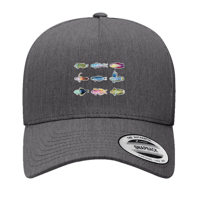 Saltwater Reef Aquarium Dartfish In Watercolor Yupoong Trucker Cap by webberkyla | Artistshot