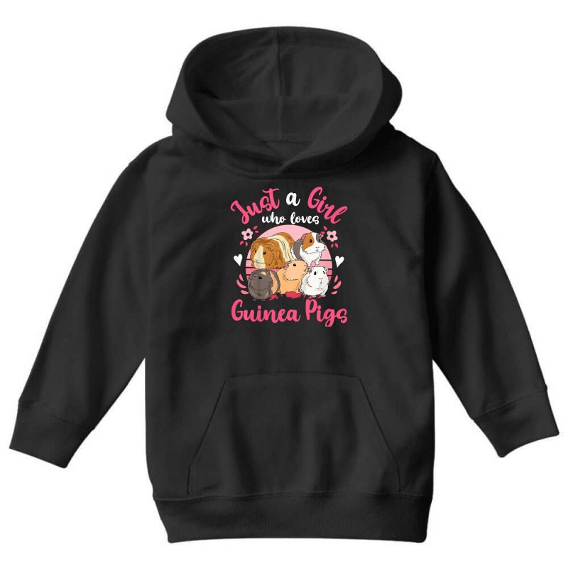 Kids Guinea Pig Just A Girl Who Loves Guinea Pigs T Shirt Youth Hoodie | Artistshot