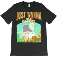 Old English Sheepdog T  Shirt Dog Owner, Just Wanna Pet My Old English T-shirt | Artistshot