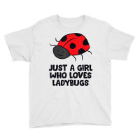 Just A Girl Who Loves Ladybugs T Shirt Youth Tee | Artistshot