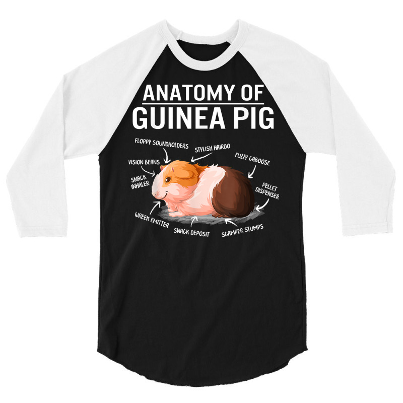 Anatomy Of Guinea Pig Cute Furry Potato Mom Cavy Mama Mother T Shirt 3/4 Sleeve Shirt | Artistshot