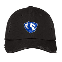 The Eastern Illinois Panthers Vintage Cap | Artistshot