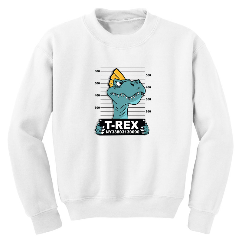 Trex Youth Sweatshirt by Disgus_Thing | Artistshot