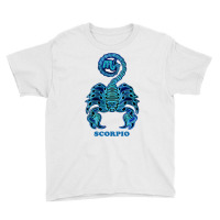 Scorpio personality Astrology Zodiac Sign Horoscope Design Pullover H Youth Tee | Artistshot