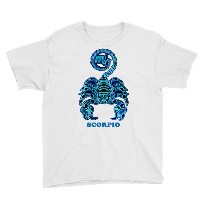 Scorpio personality Astrology Zodiac Sign Horoscope Design Pullover H Youth Tee by zakarimullin | Artistshot