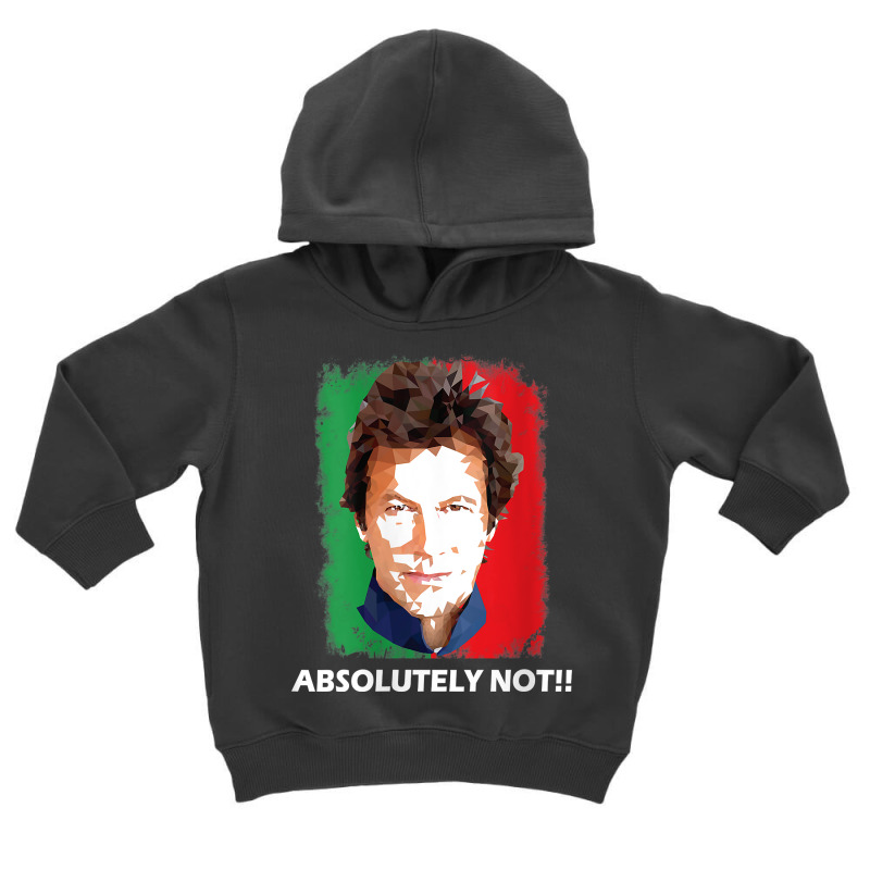 Womens Imran Khan Absolutely Not Pti Pakistan Prime Minister V Neck T  Toddler Hoodie by oluwafemimccullers | Artistshot