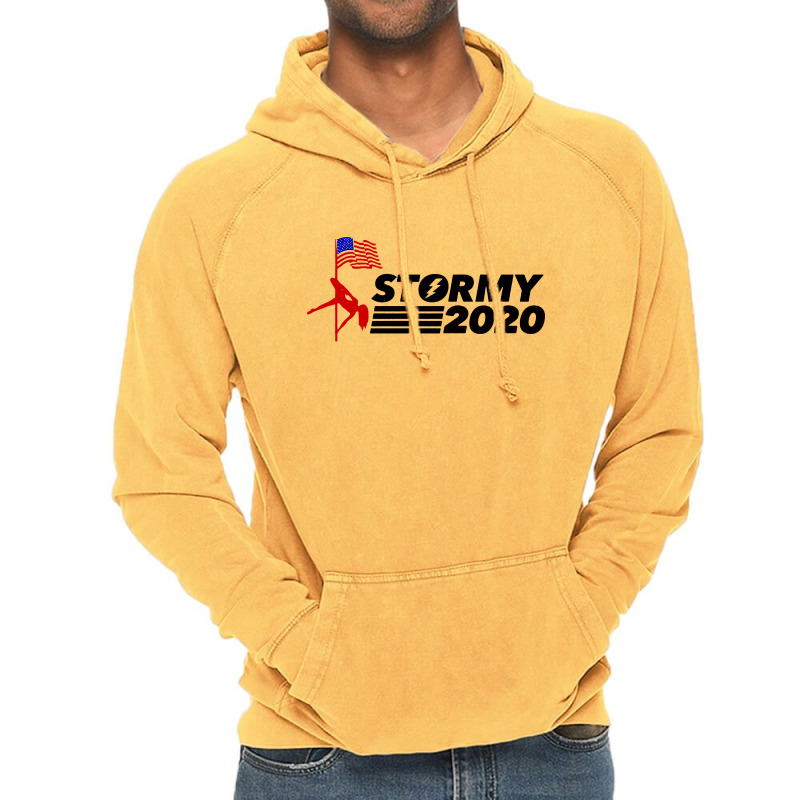 Stormy 2020 Vintage Hoodie by rastyrocl | Artistshot