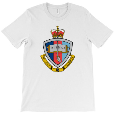 Sports Popular T-shirt Designed By Bruno18