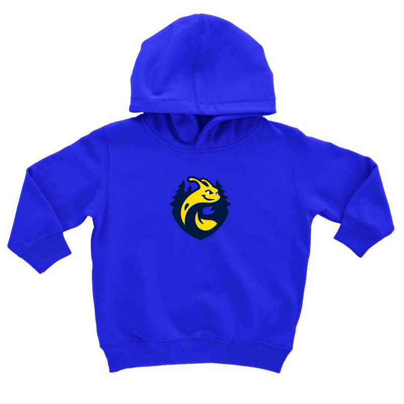 Winner Toddler Hoodie by diko oman | Artistshot