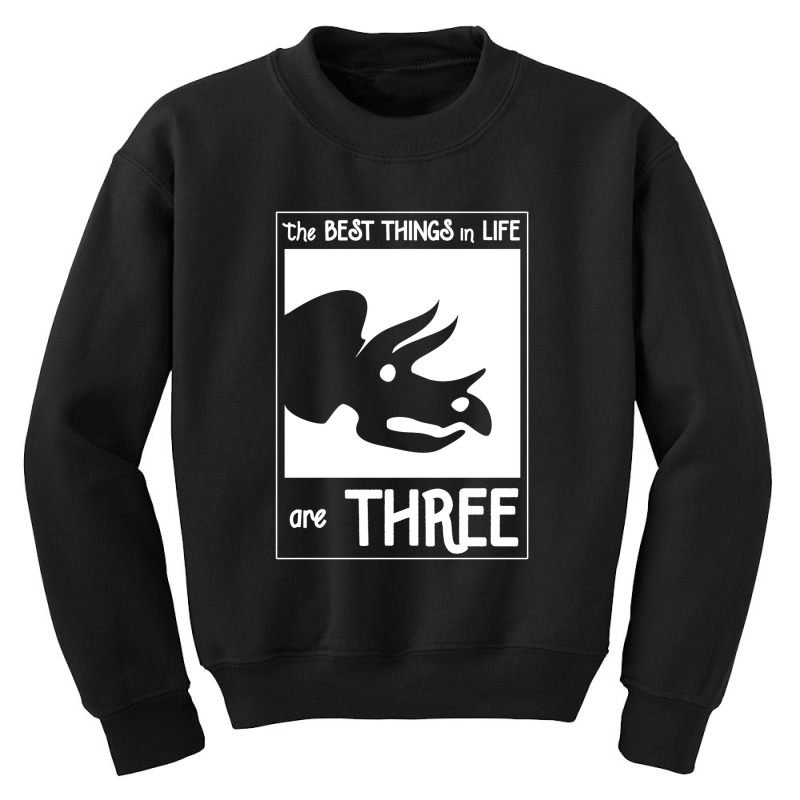 The Best Things In Life Are Three Youth Sweatshirt by michaelnaher | Artistshot